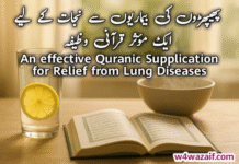 No 1 Powerful Spiritual Remedy for Recovery from Lung Diseases Powerful Spiritual Remedy for Lungs Diseases